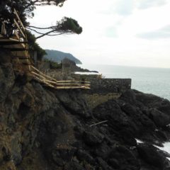 edilizia (10 di 56)