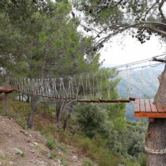 parchi avventura (13 di 91)
