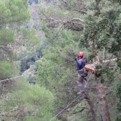 parchi avventura (14 di 91)