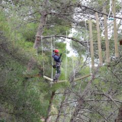 parchi avventura (16 di 91)