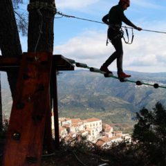 parchi avventura (23 di 91)