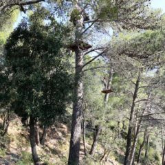 parchi avventura (7 di 91)