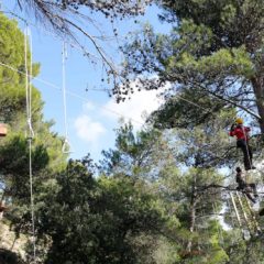 parchi avventura (9 di 91)